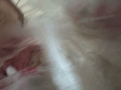 -宫廷糕点铺