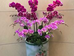 -福州长乐国际机场