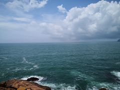 -广东惠东海龟国家级自然保护区