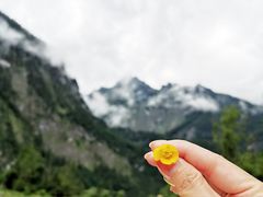-柯尼希湖