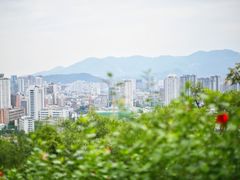 -金鸡山公园