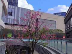 -东莞松山湖万象汇