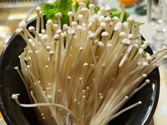 -渡娘火锅(大兴大悦春风里店)