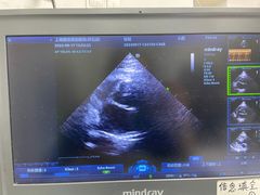 -爱侣宠医·鹦鹉专科·小型哺乳类·异宠专科(灵石路店)