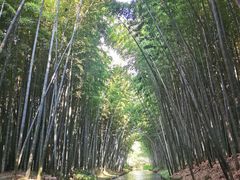 -同里国家湿地公园