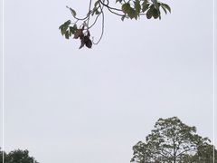 -迪士尼小镇