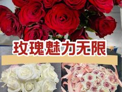 -溪岸路花鸟市场