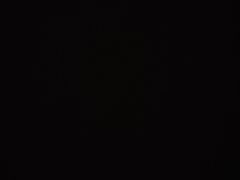 -鱼神·脆肉鲩 全鱼宴(西乡店)