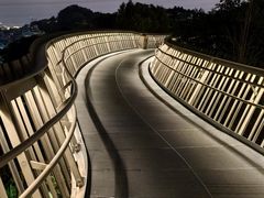 -福道