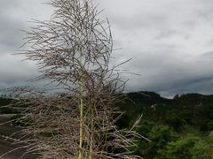 -三岔湖景区