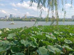 -济南大明湖景区