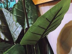 景观位-鲜果盒子(会展店)