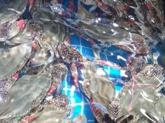 -渔码头食府(蓬莱阁店)