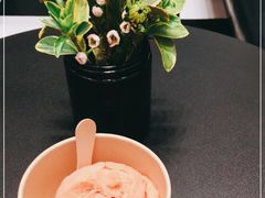 -LUNEURS月乐诗·法式冰淇淋(北外滩来福士广场店)
