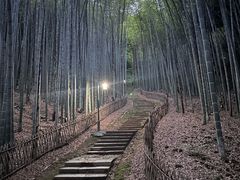 -宝石山