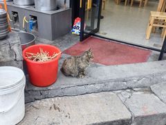 -守英猪脏粉(仓桥街店)