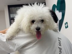 -瑞派康怡24h宠物医院·犬猫医疗中心·微创绝育(瑞景分院)