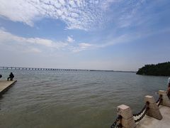 -宝安西湾红树林湿地公园