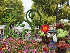 -上海迪士尼度假区