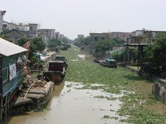 水乡景色-海鸥岛