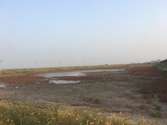 -天津东丽湖风景区