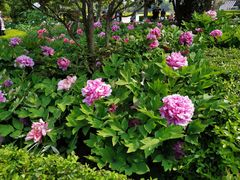 -平顶山博物馆