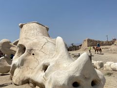 -镇北堡西部影城