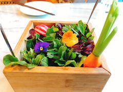 朱迪的菜园-烛影拾光观景餐厅·创意菜·摄影·小提琴(大唐不夜城店)