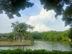 -荔湾湖公园