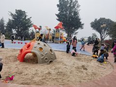 -铁山坪森林公园