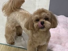 -FAELING PETS美天灵宠物(合生汇店)