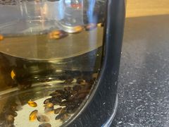 -城南老友羊蝎子火锅(花乡奥莱店)