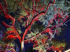 -枫林晚音乐串吧
