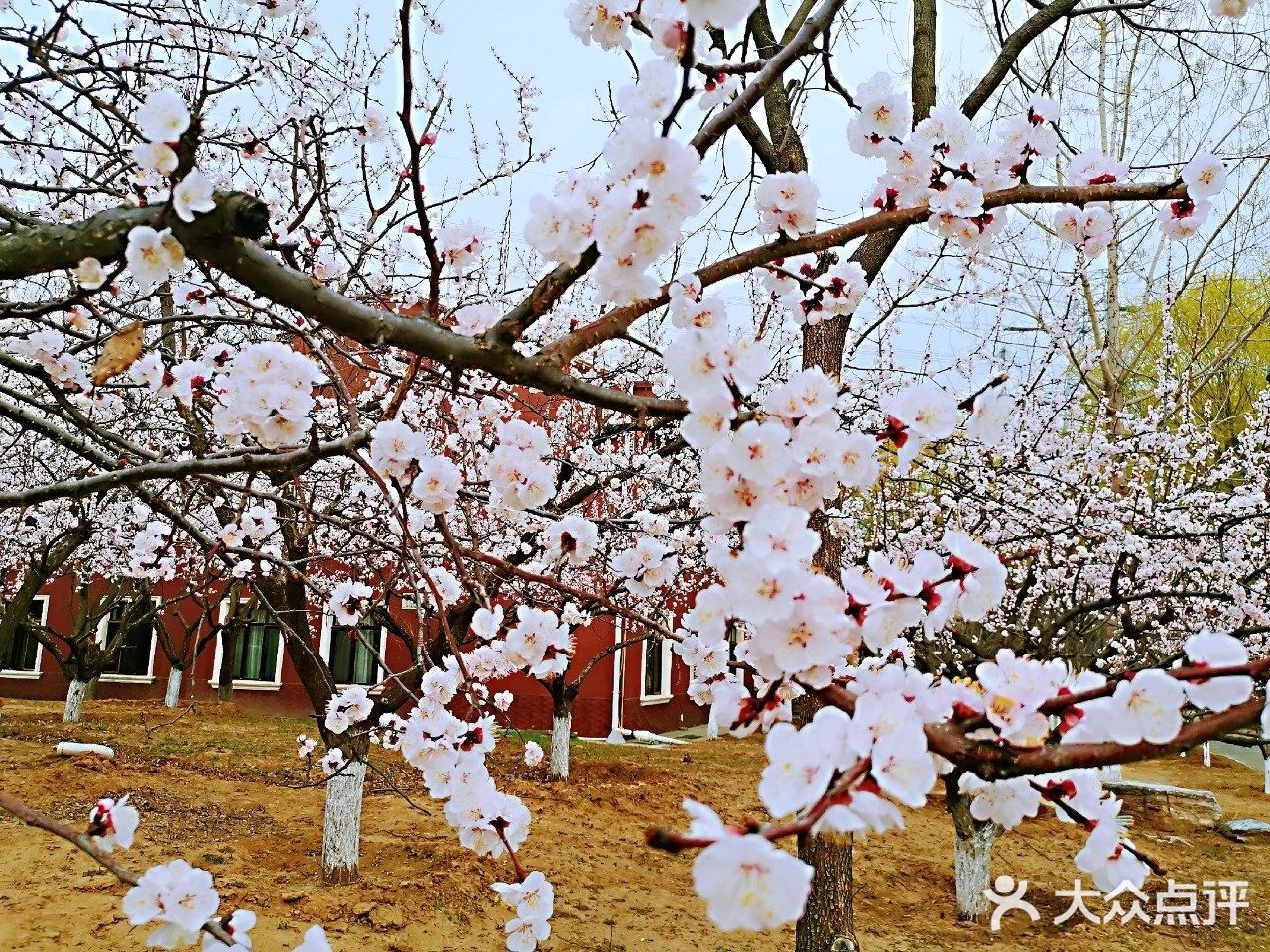 溜娃圣地[糖果]蓝可可亲子乐国[礼花]