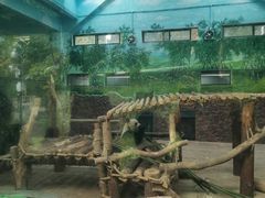 -黔灵山公园