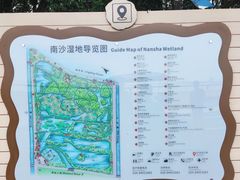 -大湾区中央湿地公园