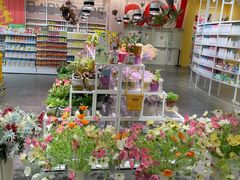 -KKV(上海月星环球港店)