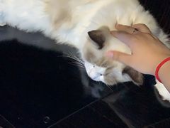 -零纪元VR体验馆·桌游(黄浦店)