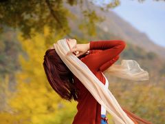 -洛阳白云山景区