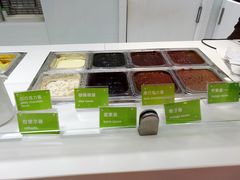 -Salud撒露欧洲冻酸奶(蓝色港湾店)