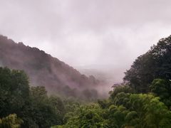 -韬光茶庵