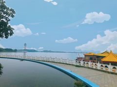 -溱湖国家湿地公园