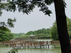 -泗洪洪泽湖湿地景区