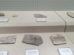 -辽宁古生物博物馆