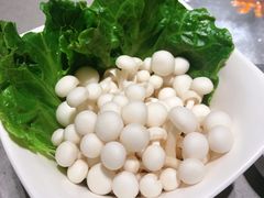 -海底捞火锅(石厦时代广场店)