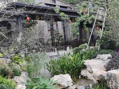 -大围山国家森林公园