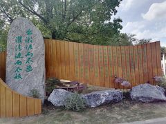 -荷塘月色湿地公园·向阳花洲