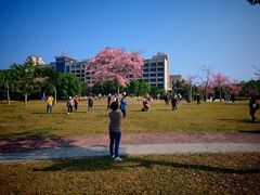 -风云岭森林公园