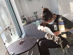 -宠颐生动物医院·心脏科·保险定点(锦阳分院)