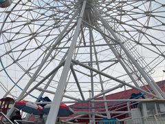 -广东花都香草世界旅游度假区